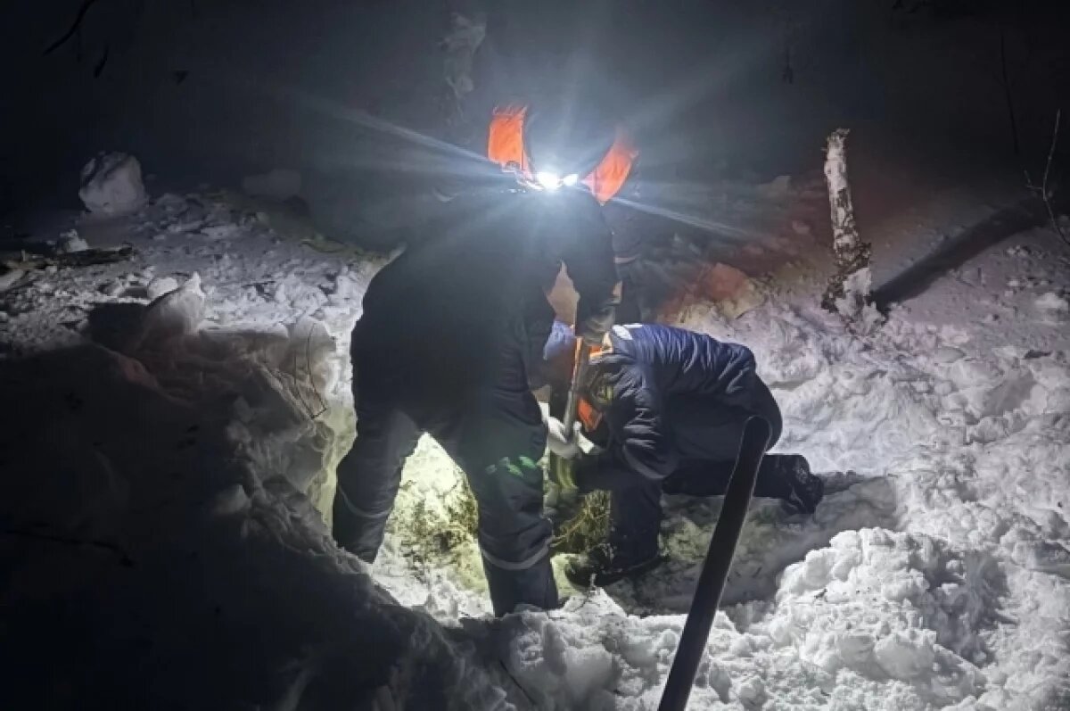    В Пензе из технологического колодца спасли собаку