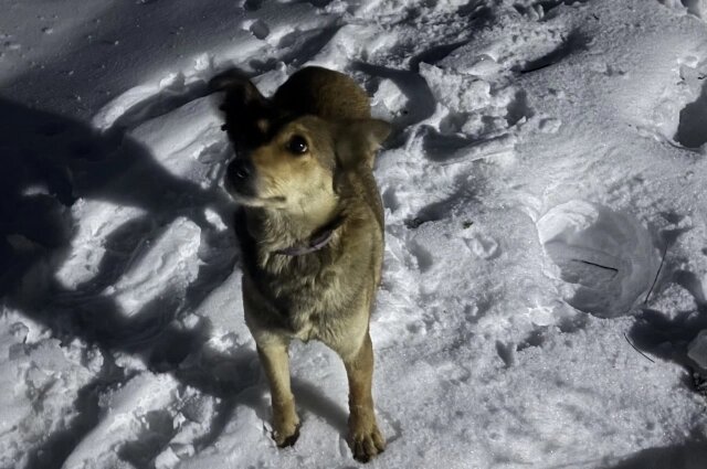    Фото: ГБУ Пензенской области «Пензенский пожарно-спасательный центр»