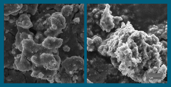    Фото: ФИЦ «Институт катализа СО РАН»