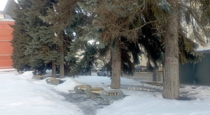 Фото: вк, Евгения Волкова  📷
