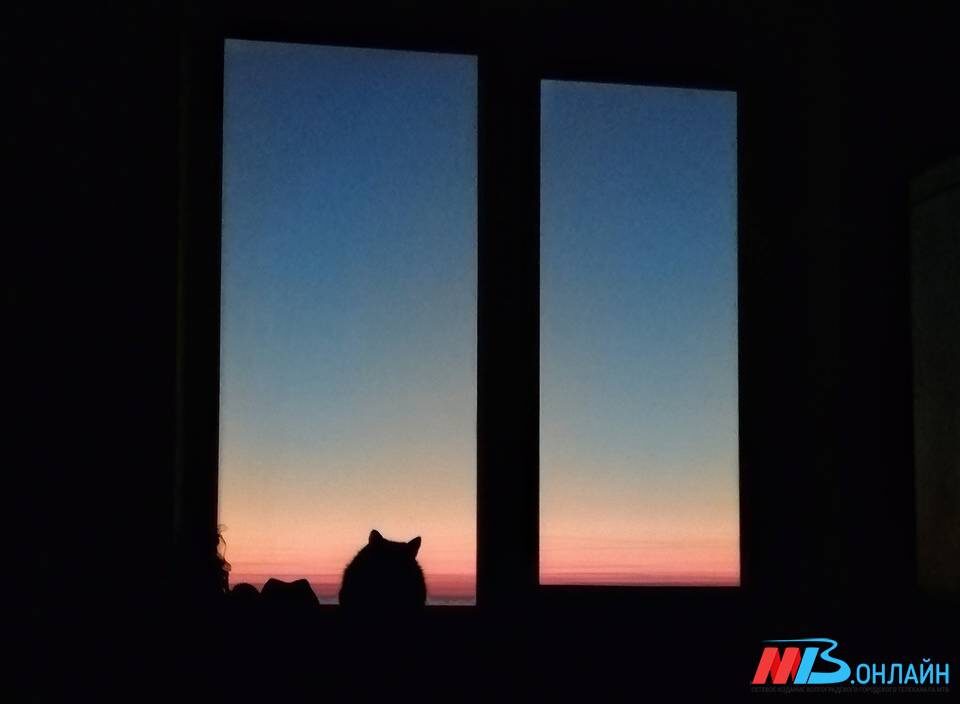    Фото: МТВ.ОНЛАЙН / Елизавета Денисова