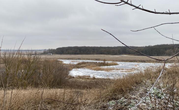    фото Курские известия