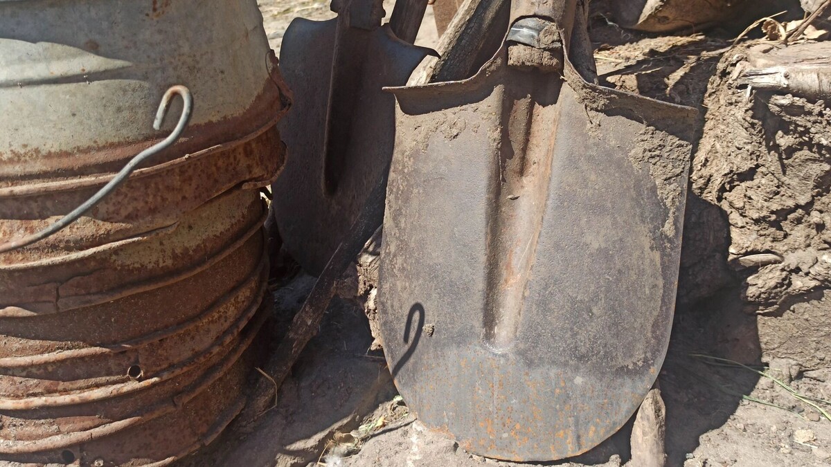    После снежной зимы ростовчанам нужно подготовить к посадкам почву на участке   rostovgazeta.ru