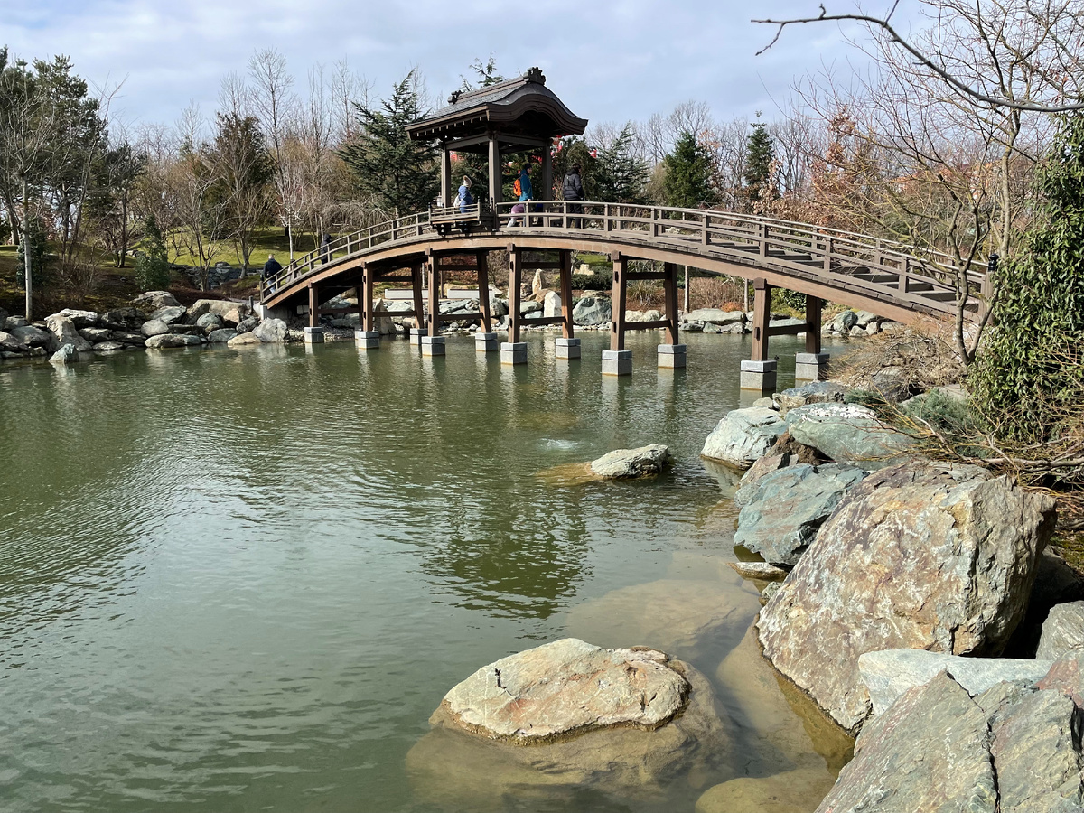 Мост в Японском саду парка Галицкого над  озером  Оике.