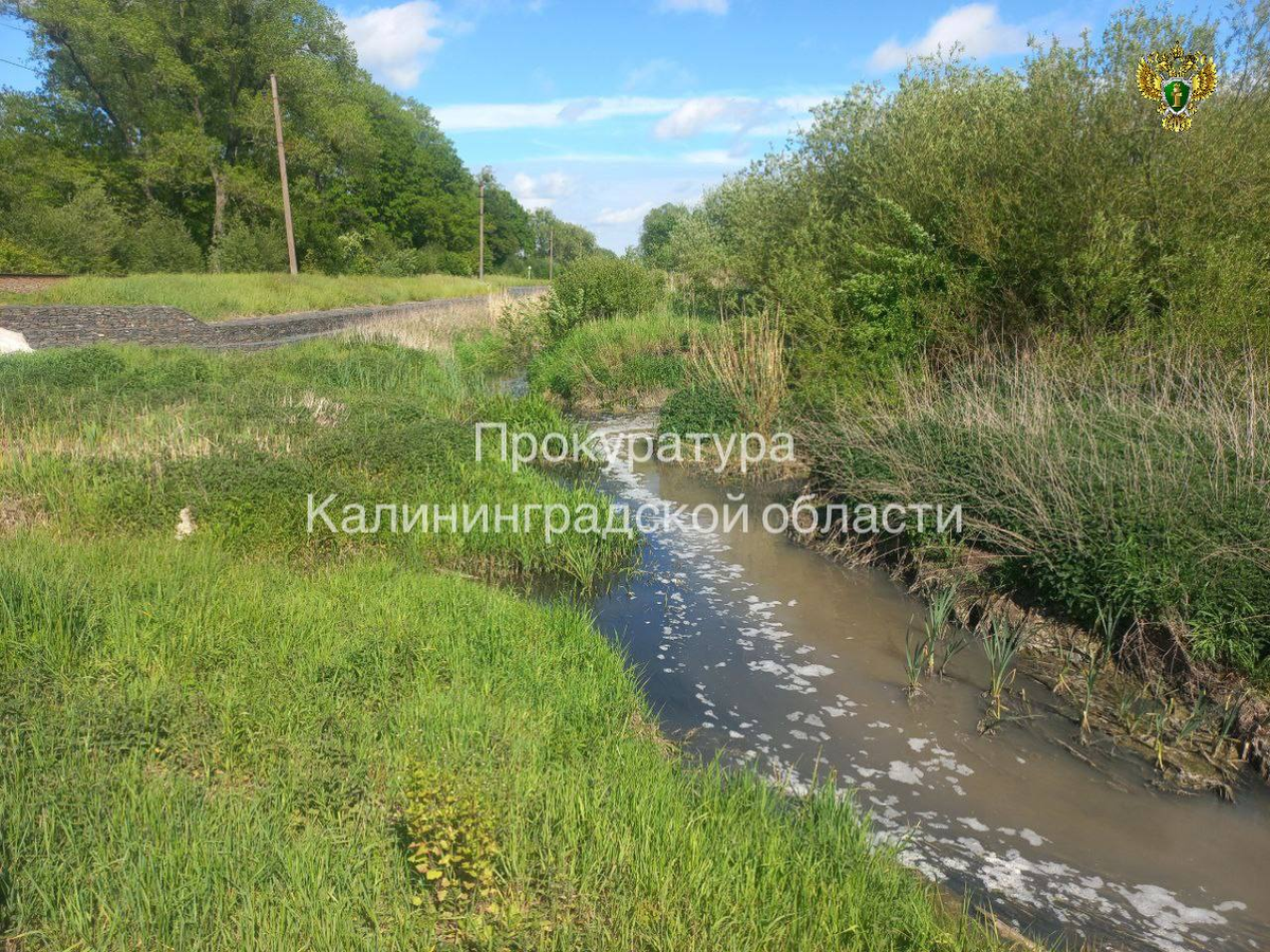 Фото epp.genproc.gov.ru