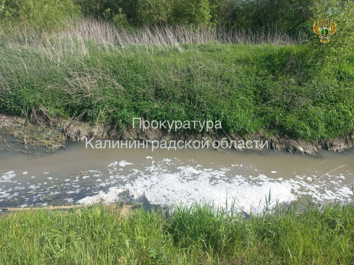 Фото epp.genproc.gov.ru