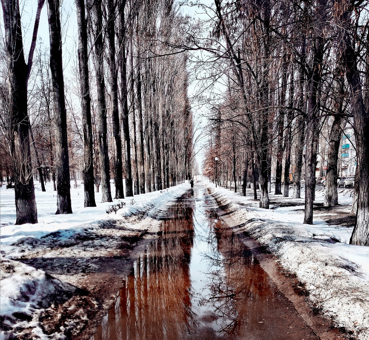 Фото автора. Первый весенний денек.