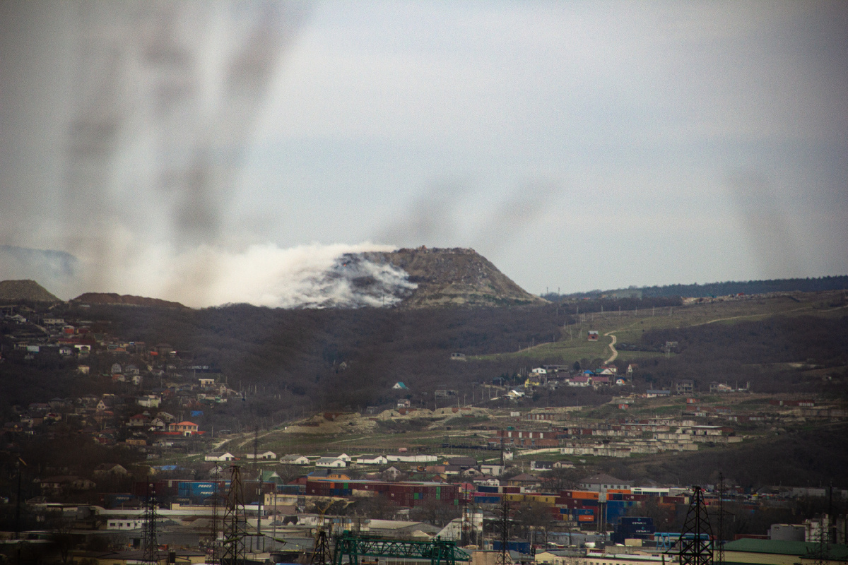 Фото автора. Новороссийск, декабрь 2025