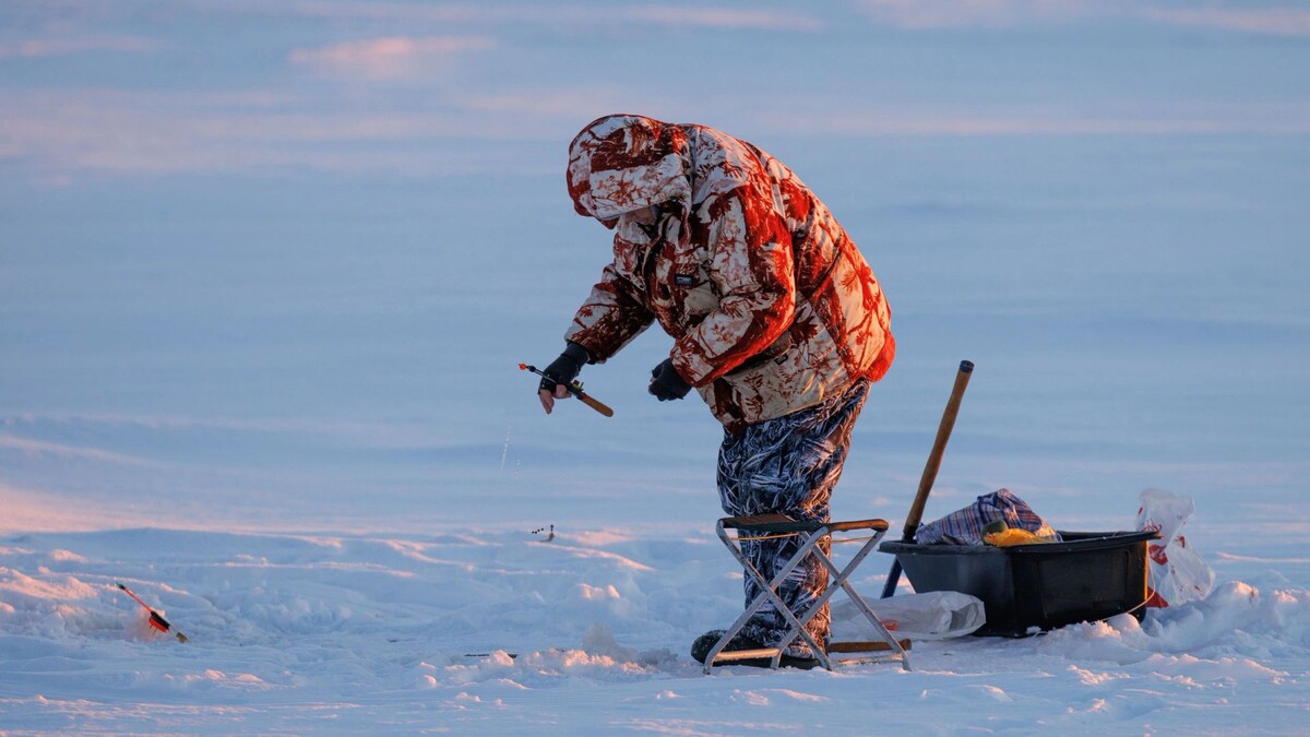    Фото: Федор Воронов/«Ямал-Медиа»