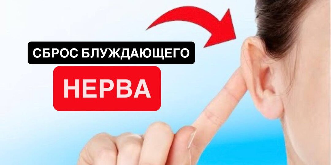 Секрет молодости и энергии спрятан за ушами: 3 простых способа активировать блуждающий нерв