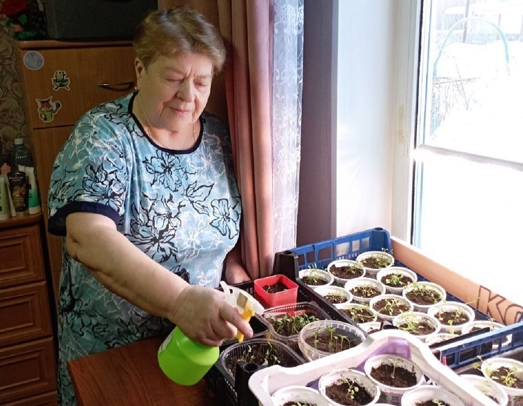    Рассада уже радует хозяйку