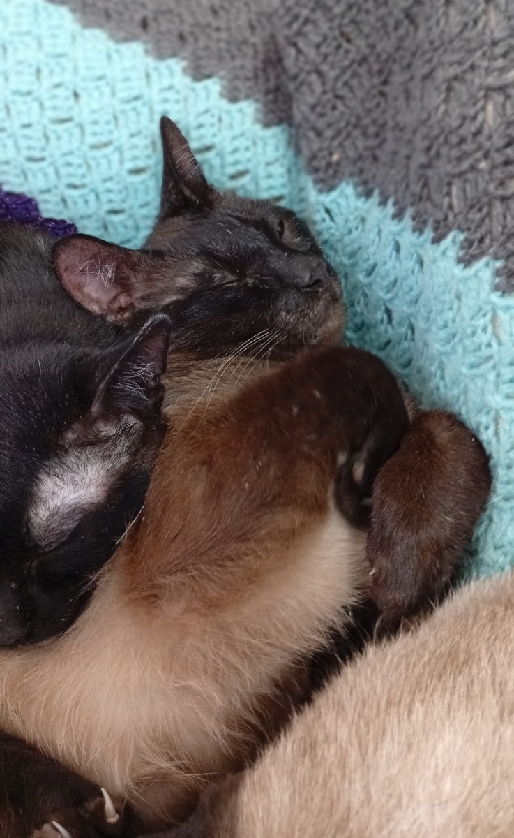 Фото из личного архива