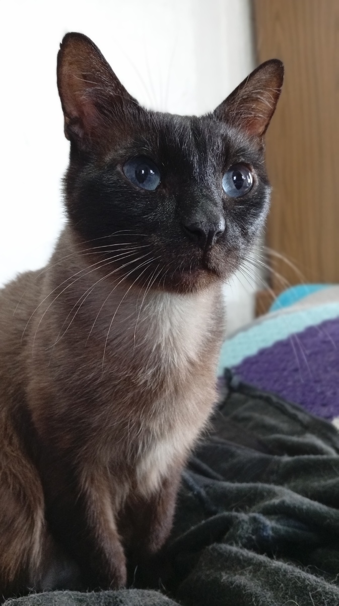 Фото из личного архива