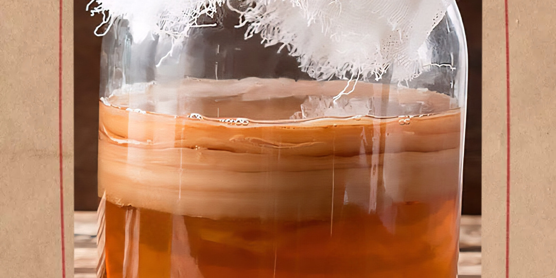 От чайного гриба до модной комбучи