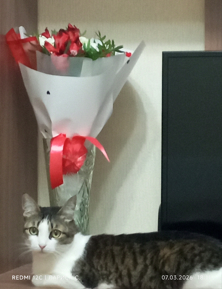 Вот этот букет и Муся.