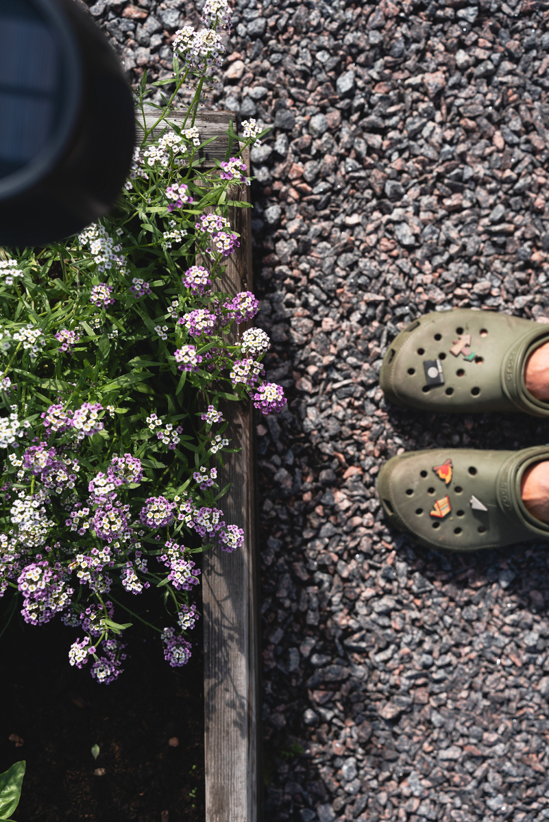 Я в огороде