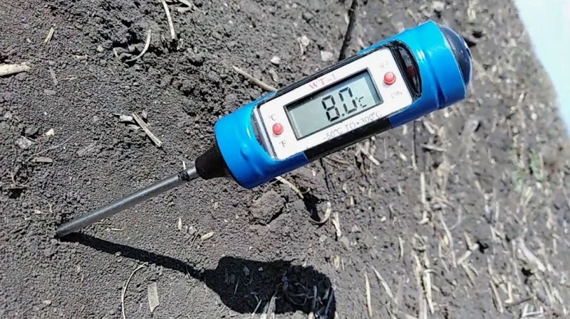 Термоментр - лучший советчик. 