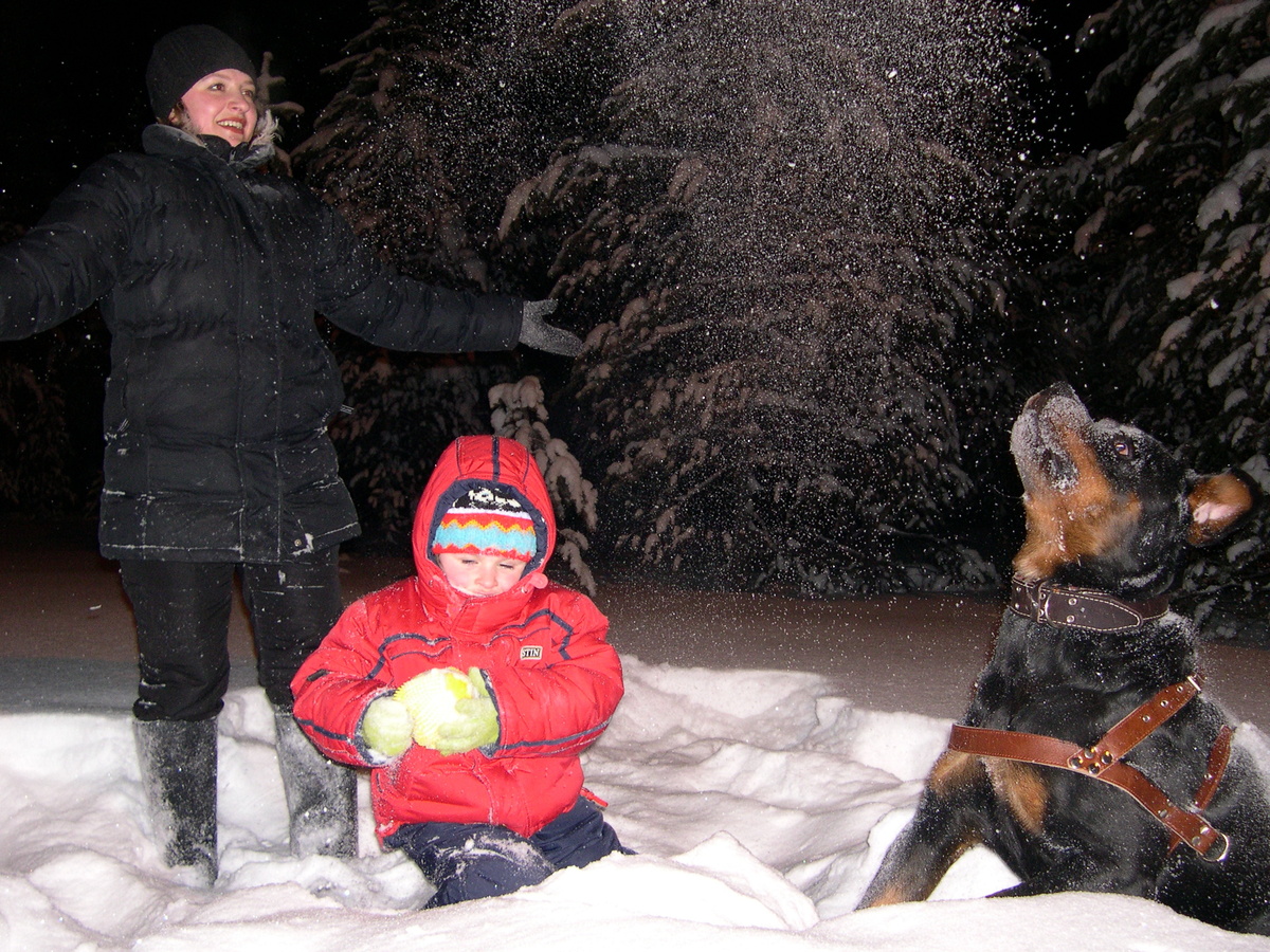 Снежные игры