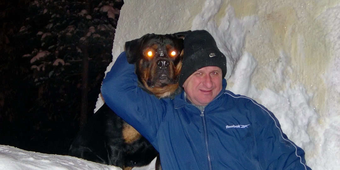 Стройматериалы и угроза нападения, лыжи и агрессия... Прогулки с ротвейлером.