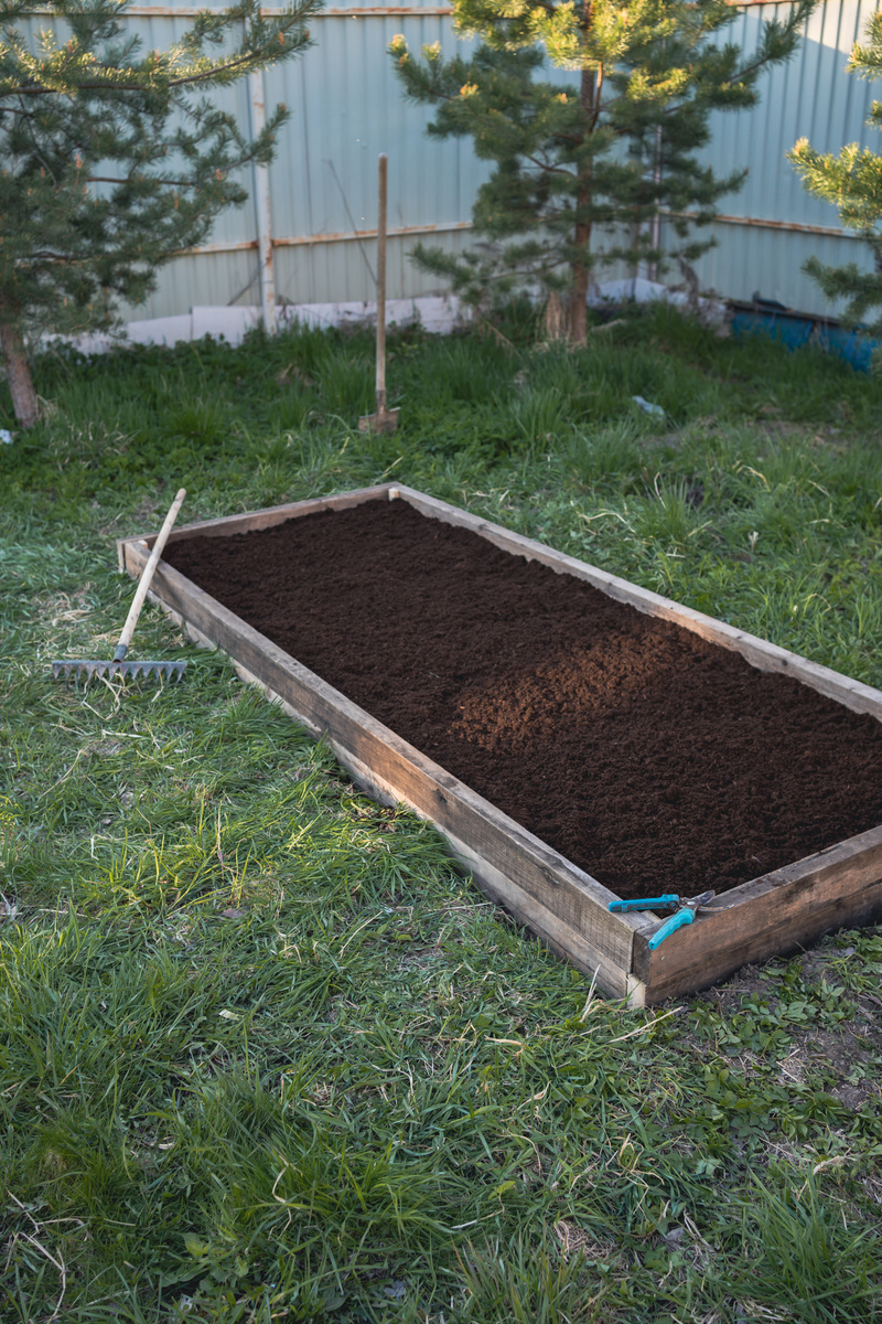 Первая грядка в моём будущем огороде