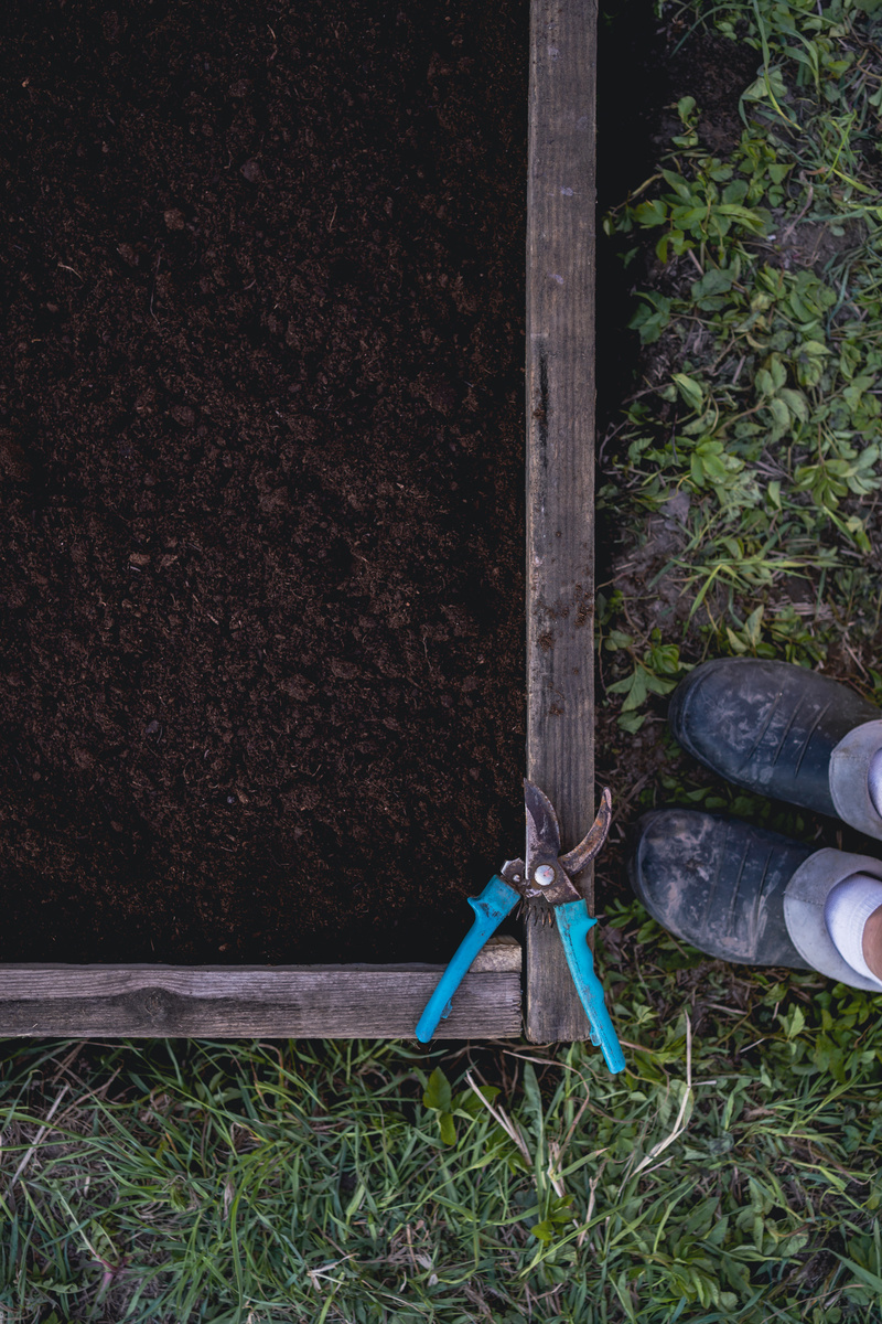 Заполнила грядку землей.