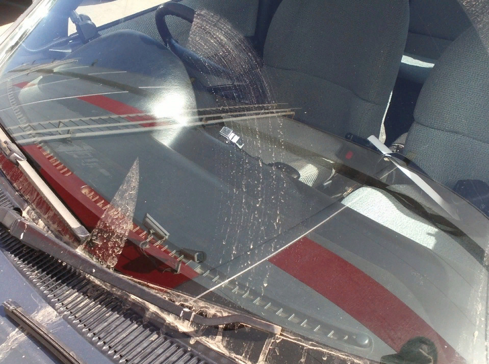 Фото из открытых источников 