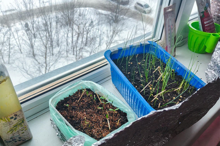 Прогноз погоды на 14-15 марта в Новосибирске сделали синоптики