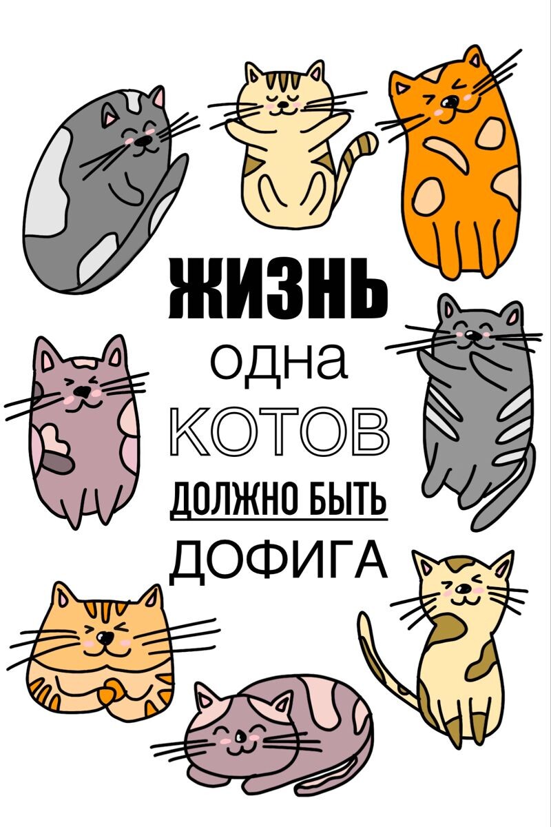 фото из интернета