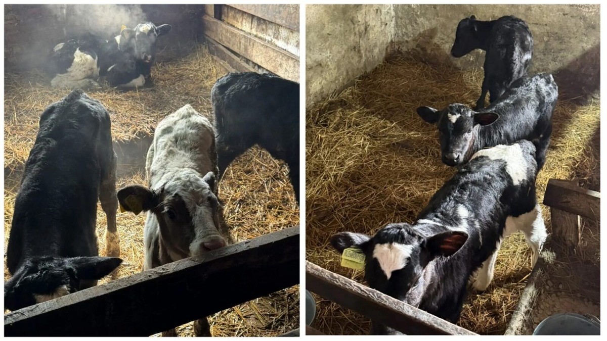    Фото: пресс-служба СРЗП