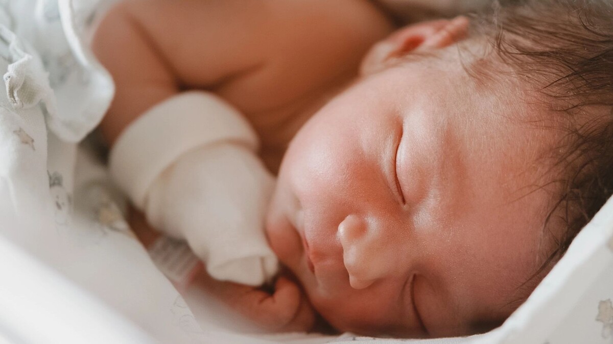    Фото: Юлия Чудинова/«Ямал-Медиа»