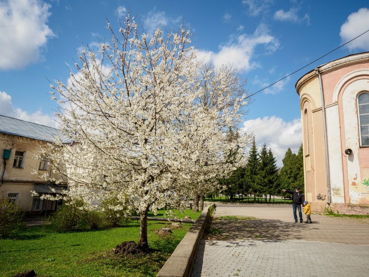    Фото: Андрей Федоскин Юра Белый