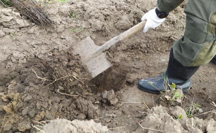    фото Курские известия