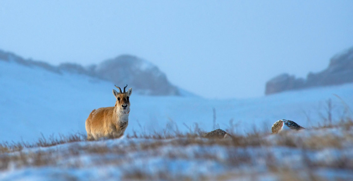    Фото: Денис Кочетков