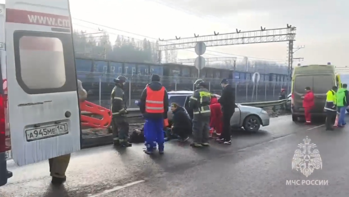    Ленобласть ДТП