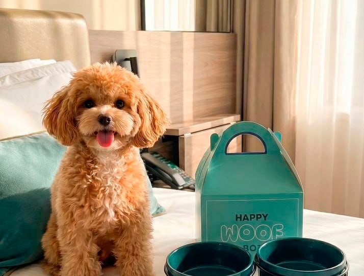 Новое место на нашей pet-friendly карте