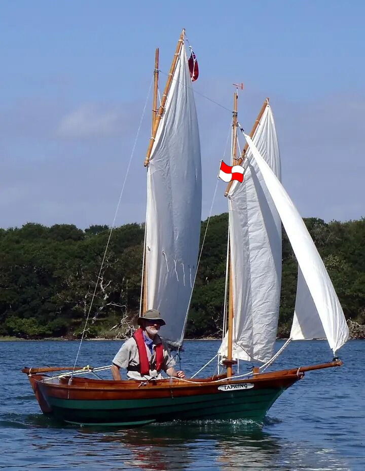 Старый морской волк подаёт сигнал «Вы идёте к опасности». А под гафелем у него государственный флаг