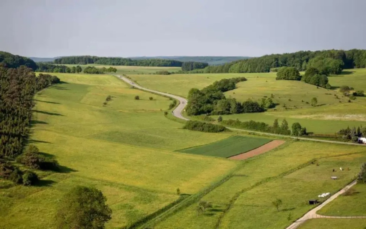    Администрацию Мичуринского района в Тамбовской области проверяют за передачу участка без торгов Фото – ru.freepik.com