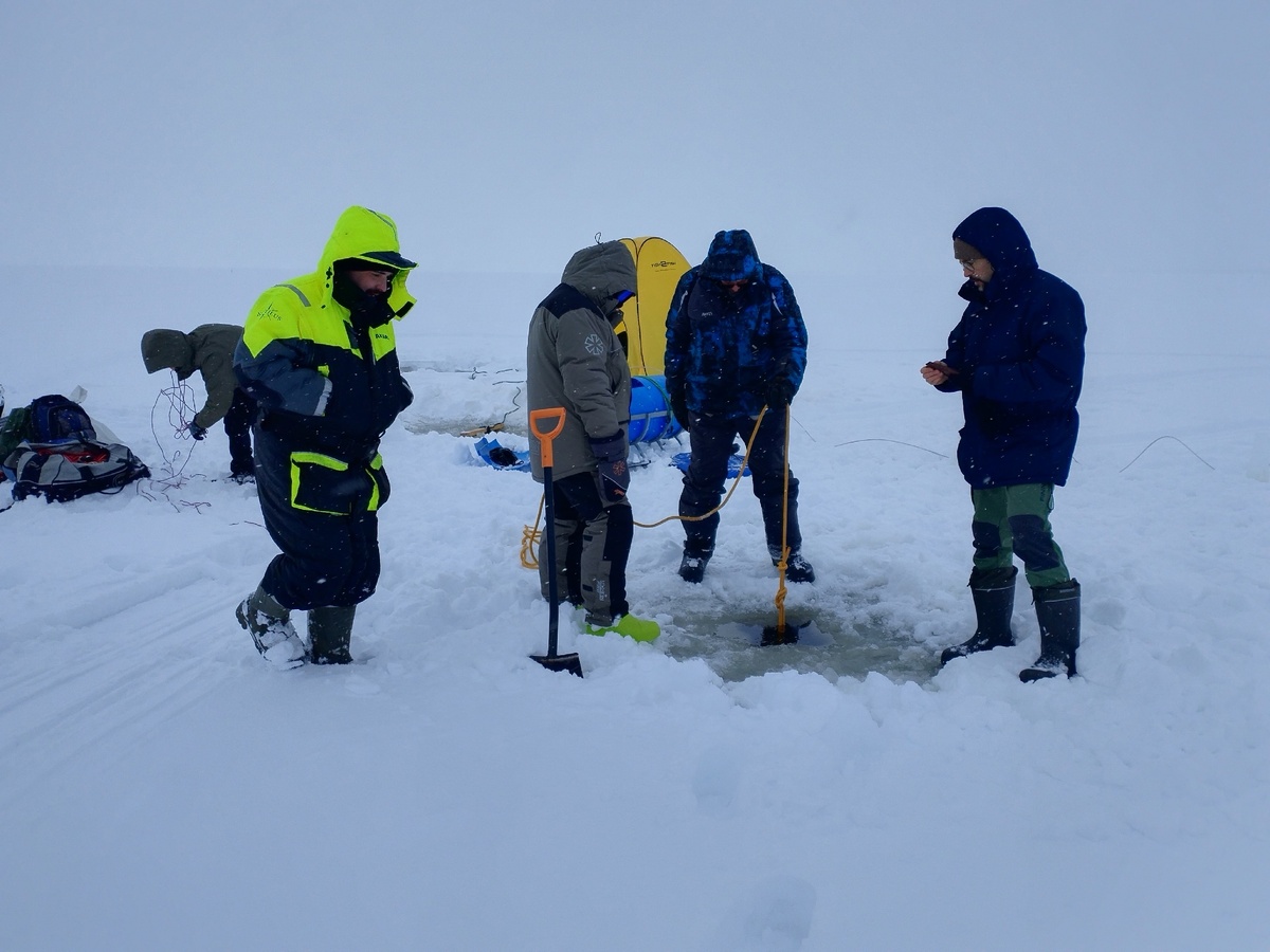    фото: © Алексей Толстиков / КарНЦ РАН