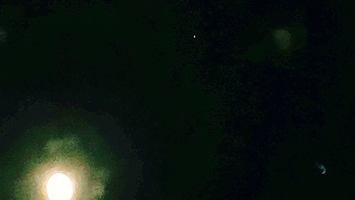 Фотоснимок автора канала: "Лунная ночь без телескопа"