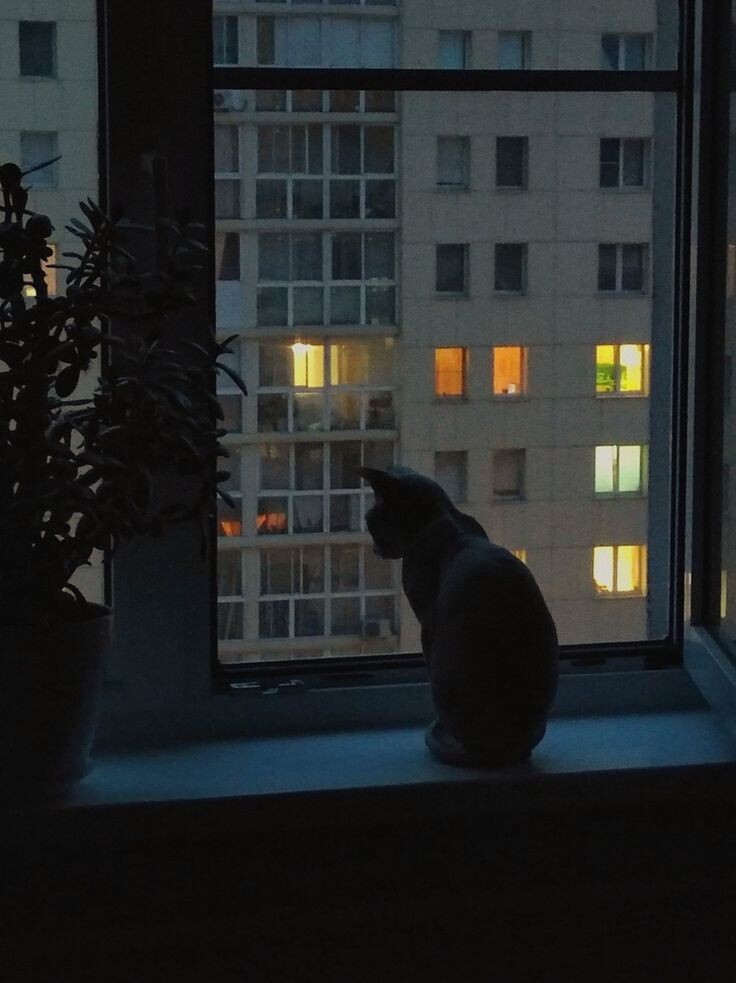 вечер, квартира 