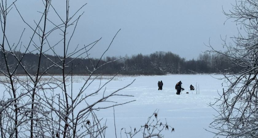    Фото progorod43.ru