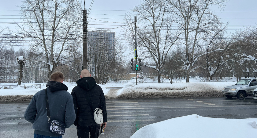    Фото progorod43.ru