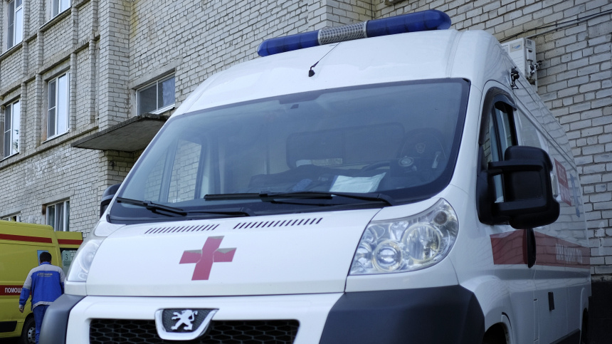    Фото: © РИА Новости/Николай Хижняк