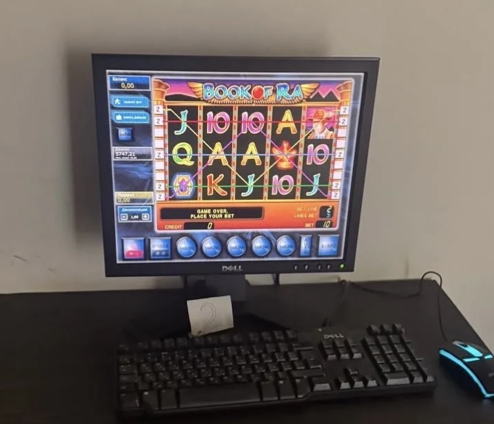     Фото: пресс-служба СУ СКР по региону, пресс-служба ГУ МВД по региону