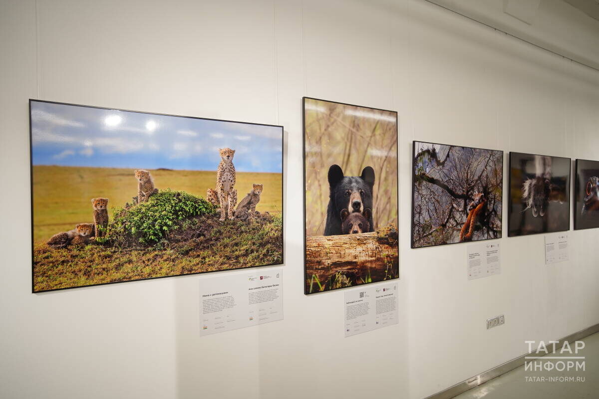 Фото: © Владимир Васильев / «Татар-информ»