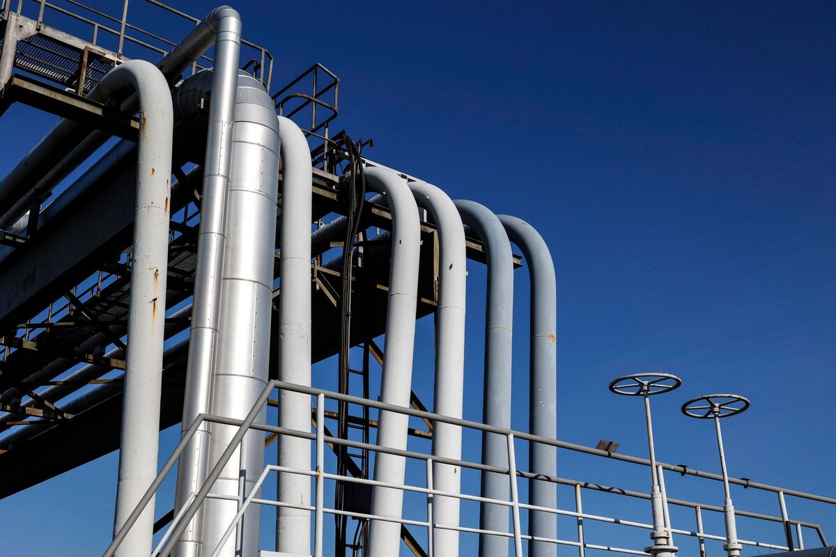     / Источник: © IMAGO/Jochen/Global Look Press