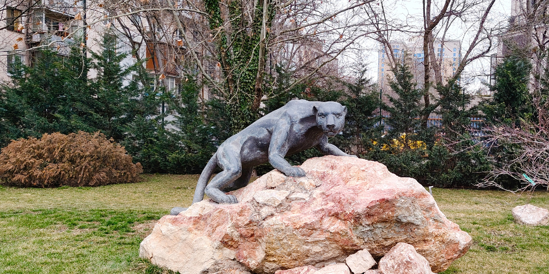 Улочками Симферополя: от Ботанического сада до ж/д вокзала