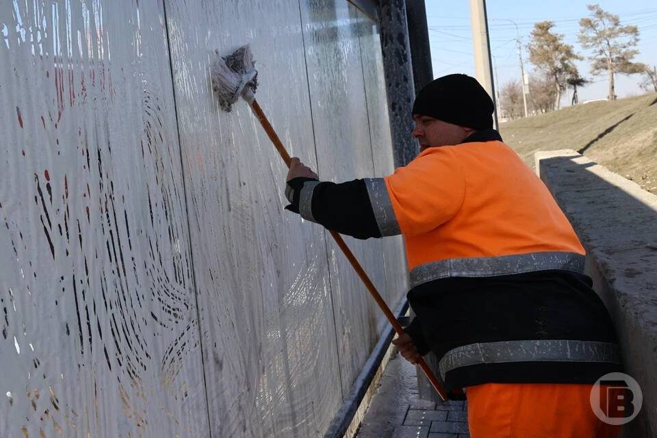    фото: Дмитрий Рогулин / "Городские вести"
