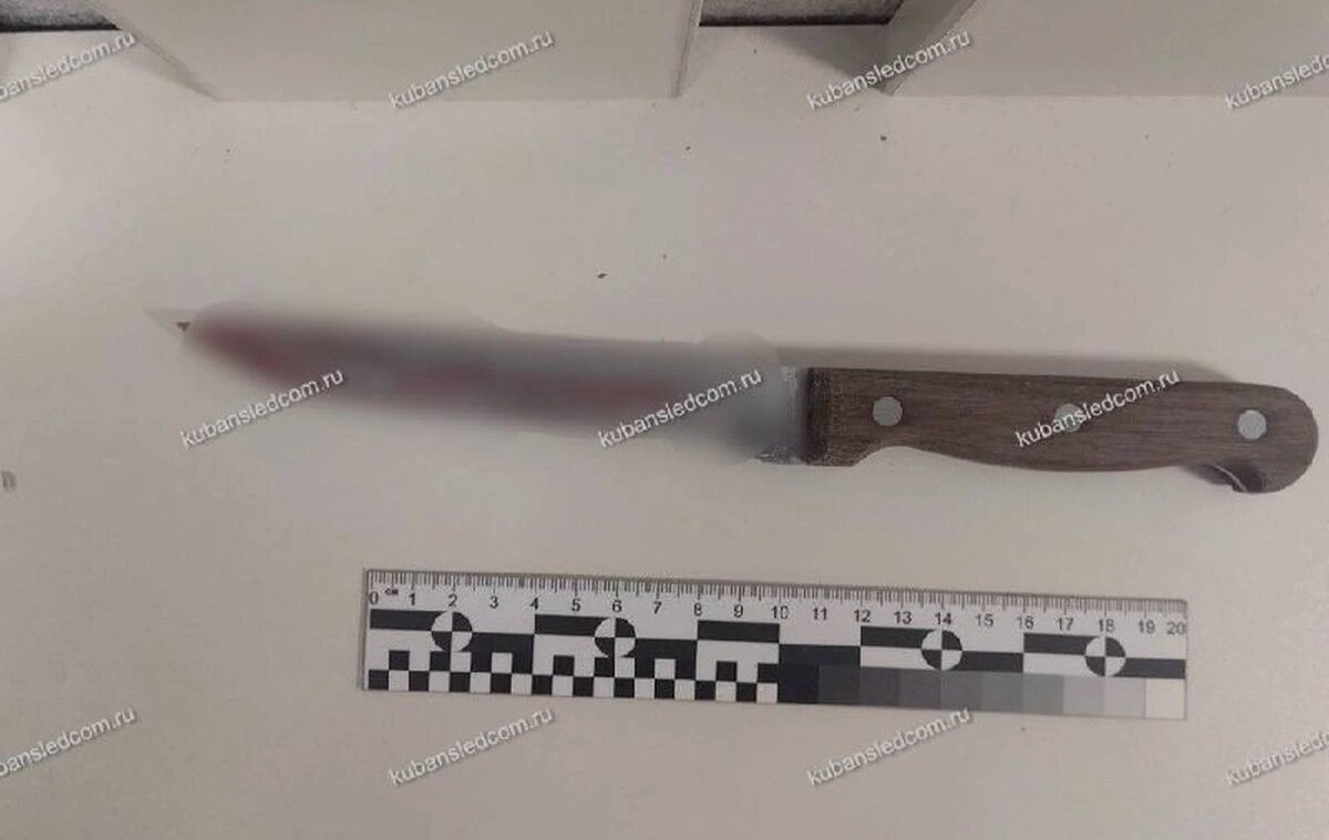    Фото t.me/kubansledcom