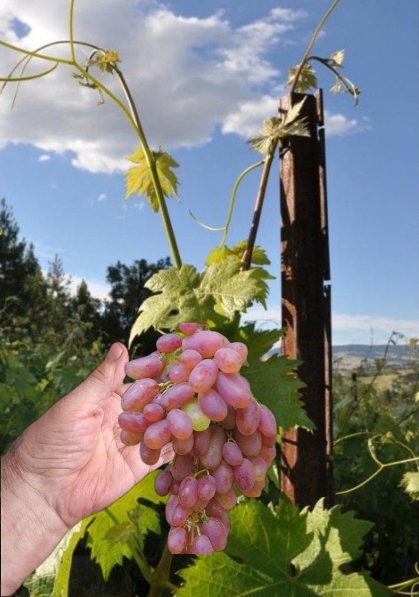 Фото автора.